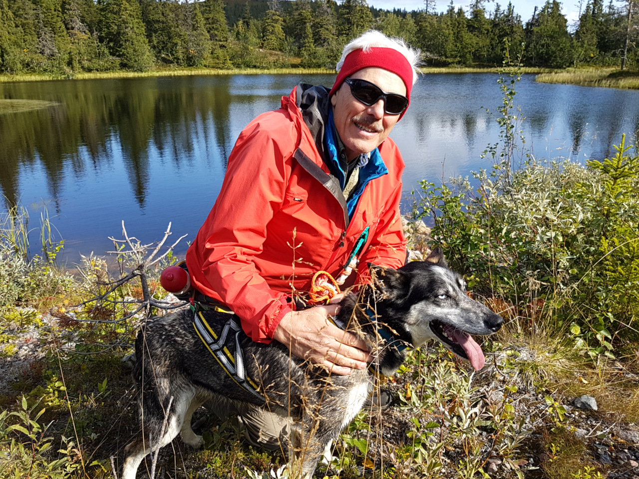 Ausflug mit Husky, Storberg
