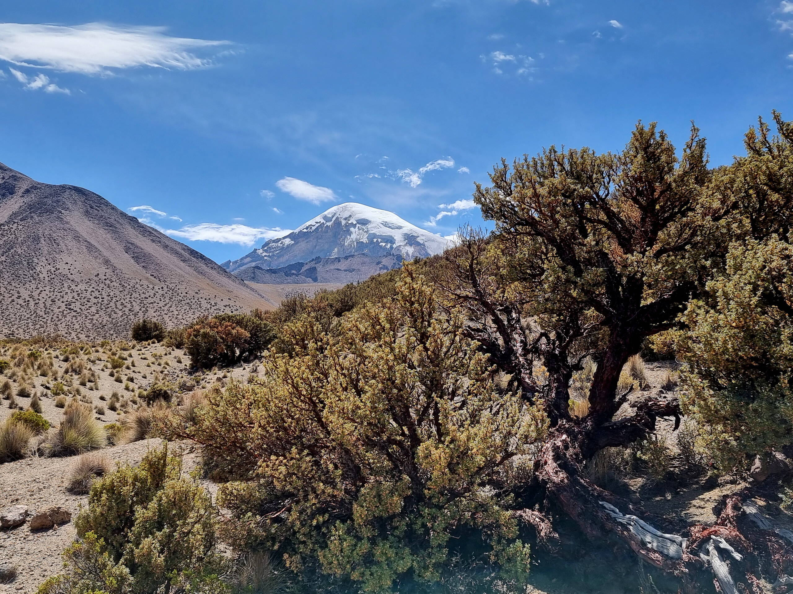 Bolivien-Impressionen – FreitagTravel