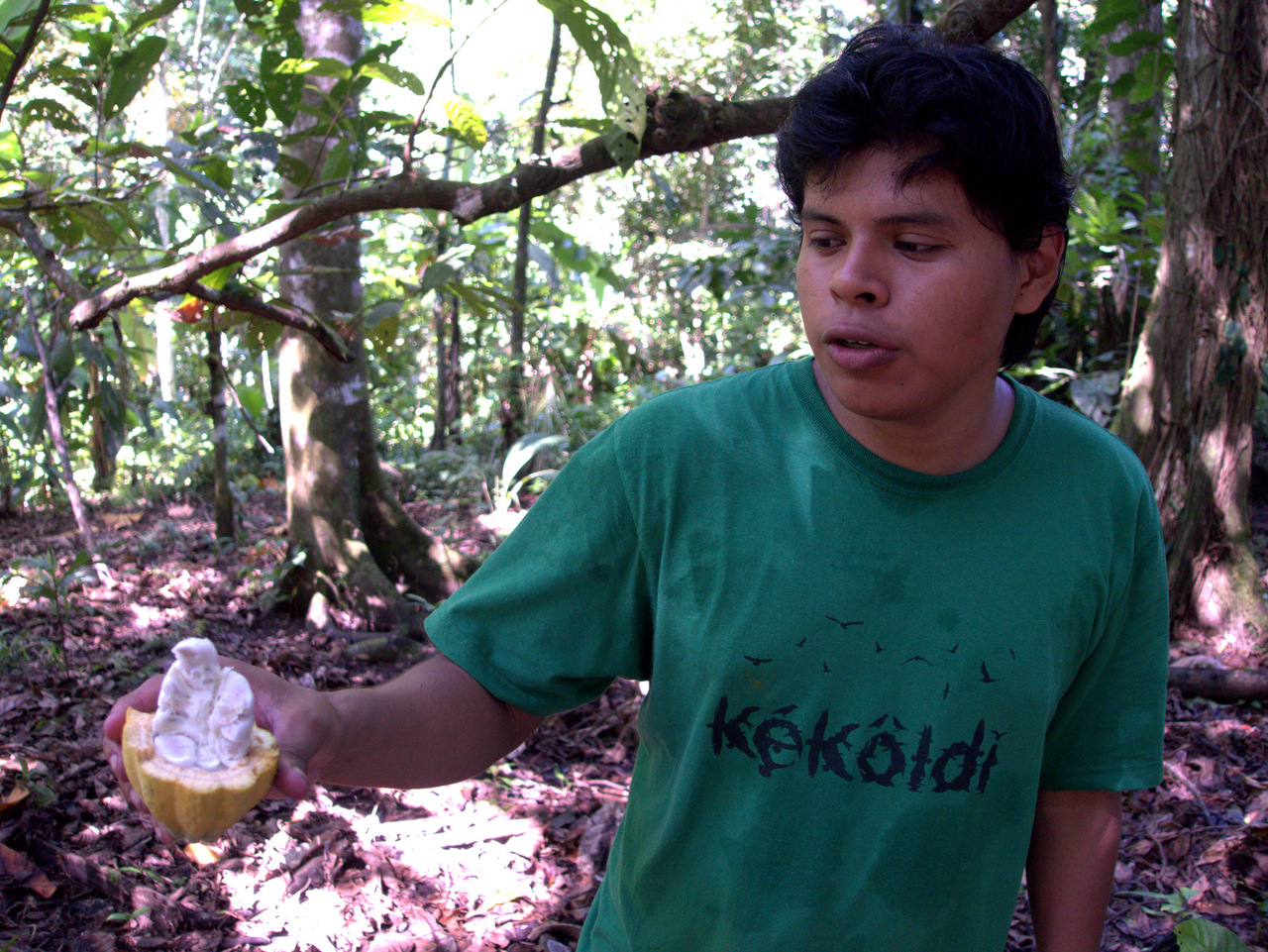 bei den Bribri Indianern, Cahuita Natinalpark
