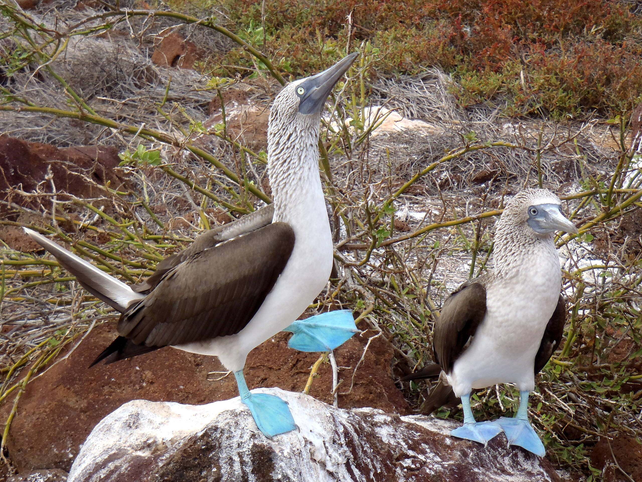 Impressionen Tiersafaris – FreitagTravel